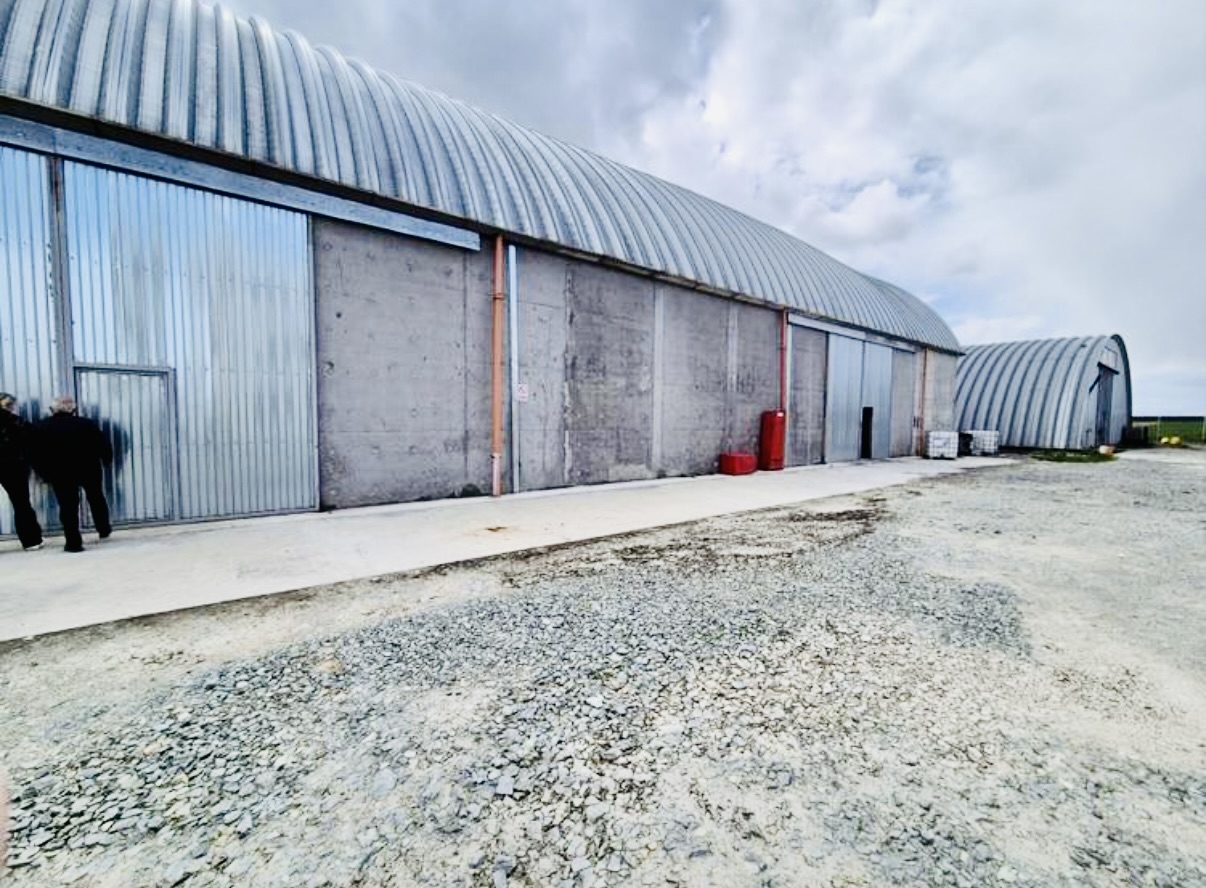 AGIGEA, CONSTANȚA | COMPLEX DE DEPOZITARE ȘI INFRASTRUCTURĂ AGRICOLĂ 4