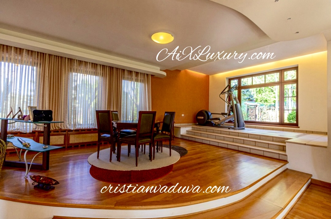A Prestigious Opportunity for Business Visionaries: Transform This Luxury Villa into Your Dream Venture 4