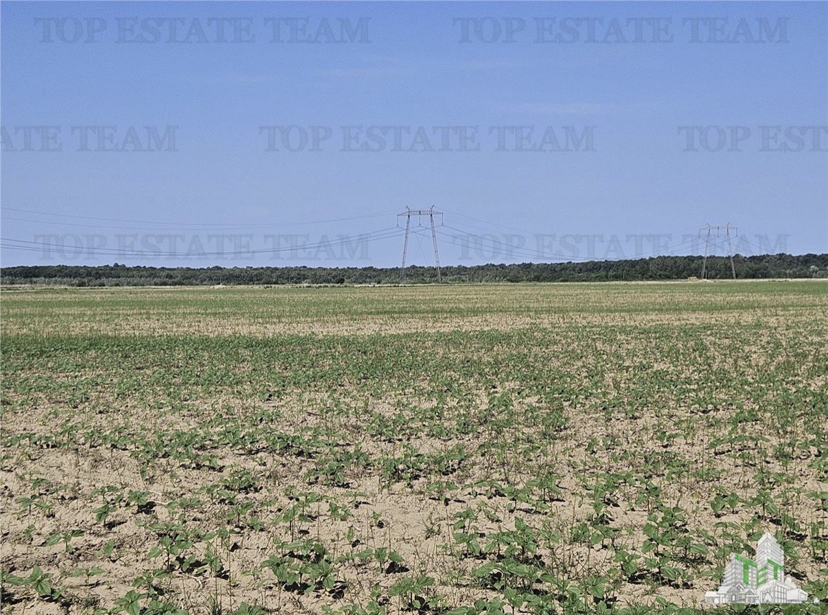 Teren 29,5+ hectare · Peste 500 ml front la A1 · 20 km de București 3