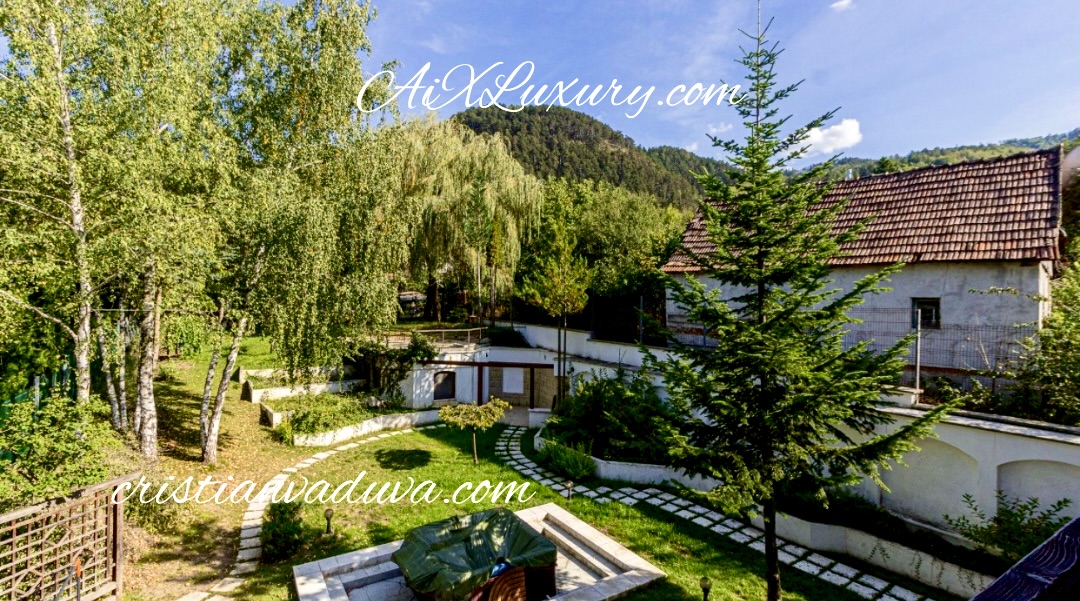 A Prestigious Opportunity for Business Visionaries: Transform This Luxury Villa into Your Dream Venture 3