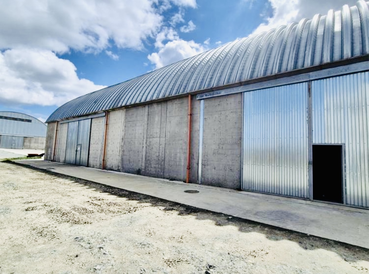AGIGEA, CONSTANȚA | COMPLEX DE DEPOZITARE ȘI INFRASTRUCTURĂ AGRICOLĂ 3