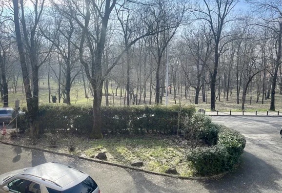 Vila cu 7 camere Suprafata de 240 mp Floreasca 2